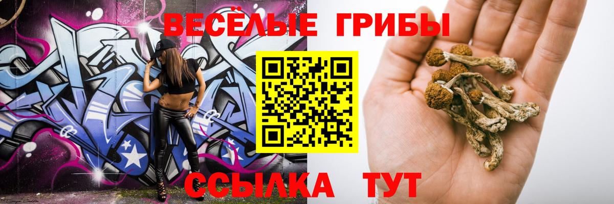 Галлюциногенные грибы ЛСД Шатура