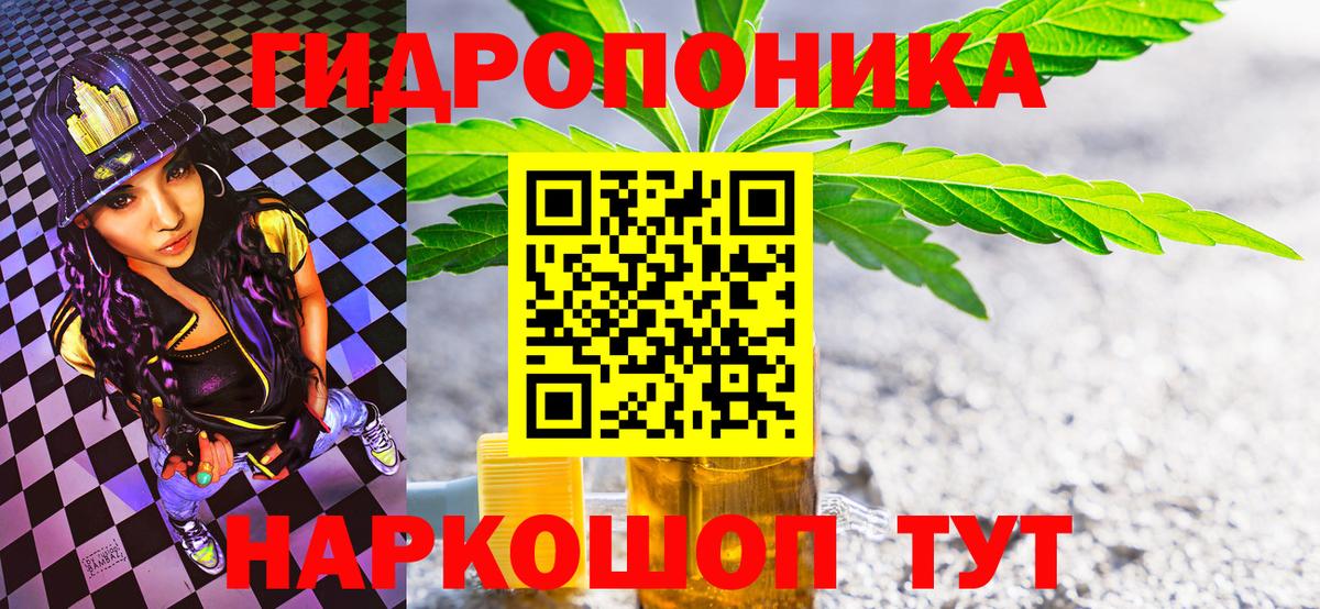 Конопля конопля Шатура
